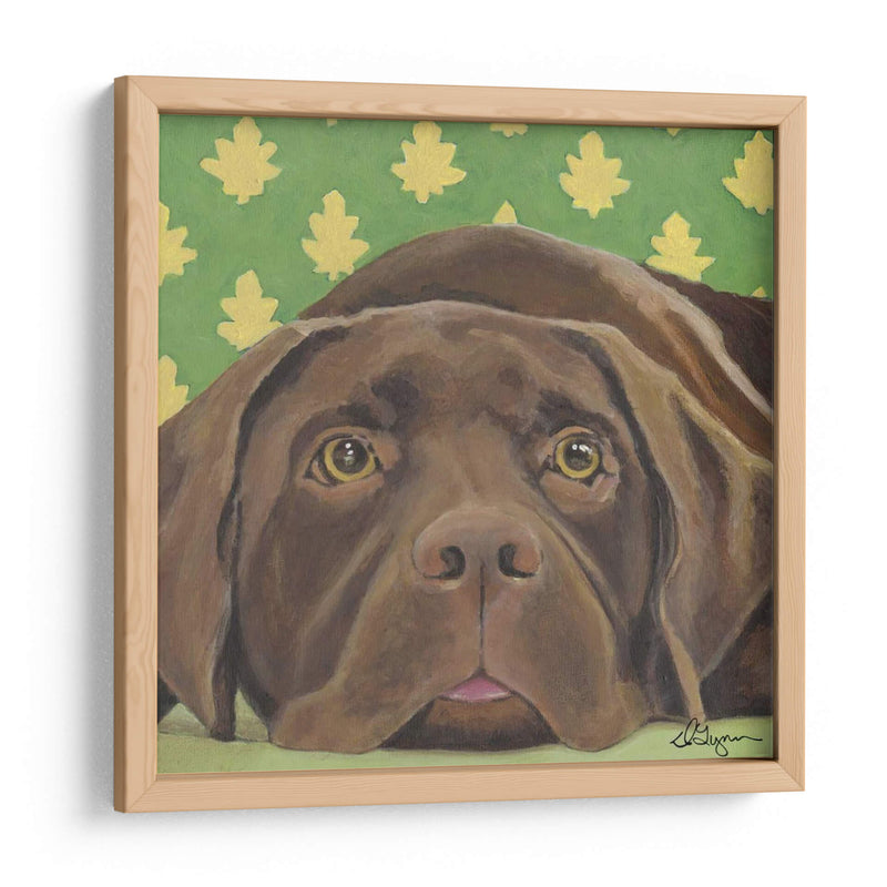 Dogs Dlynns - Casey - Dlynn Roll | Cuadro decorativo de Canvas Lab