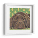 Dogs Dlynns - Casey - Dlynn Roll | Cuadro decorativo de Canvas Lab