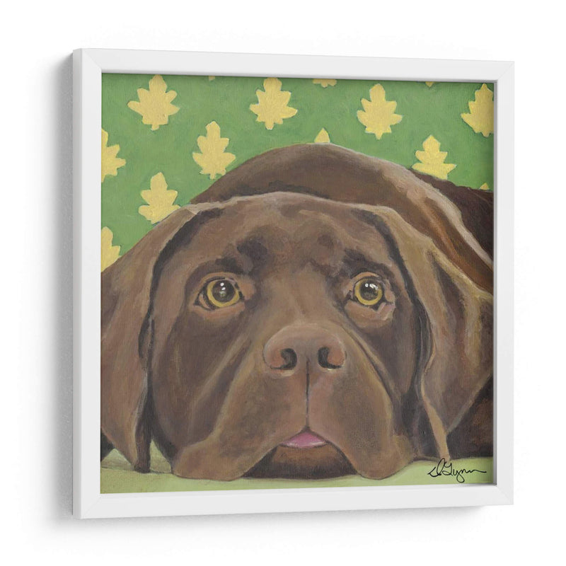 Dogs Dlynns - Casey - Dlynn Roll | Cuadro decorativo de Canvas Lab