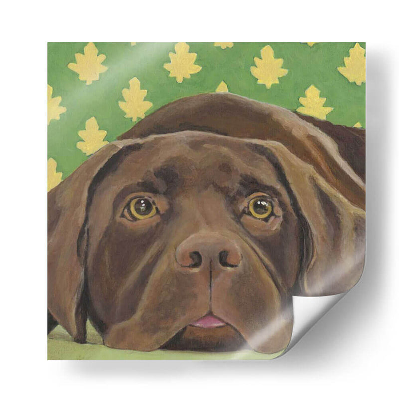 Dogs Dlynns - Casey - Dlynn Roll | Cuadro decorativo de Canvas Lab