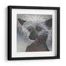 Dogs Dlynns - Poe - Dlynn Roll | Cuadro decorativo de Canvas Lab