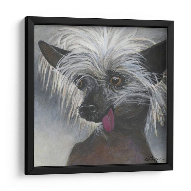 Dogs Dlynns - Poe - Dlynn Roll | Cuadro decorativo de Canvas Lab