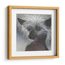 Dogs Dlynns - Poe - Dlynn Roll | Cuadro decorativo de Canvas Lab