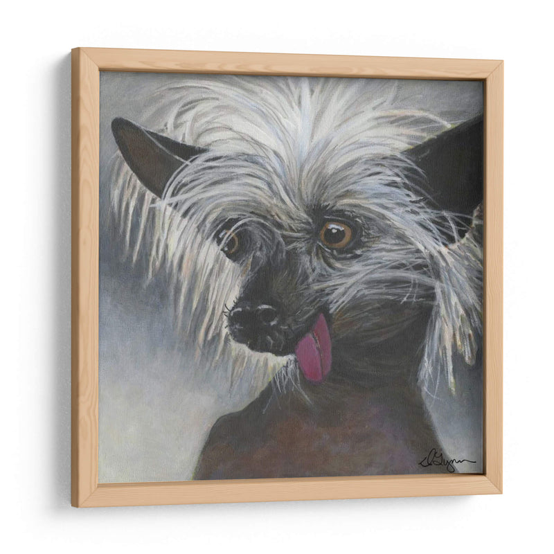 Dogs Dlynns - Poe - Dlynn Roll | Cuadro decorativo de Canvas Lab