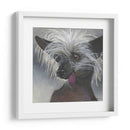 Dogs Dlynns - Poe - Dlynn Roll | Cuadro decorativo de Canvas Lab