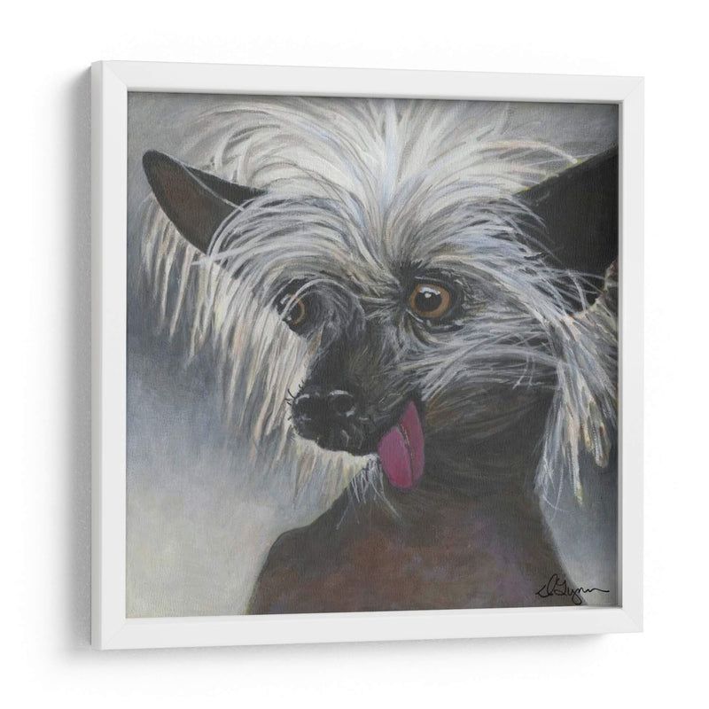 Dogs Dlynns - Poe - Dlynn Roll | Cuadro decorativo de Canvas Lab