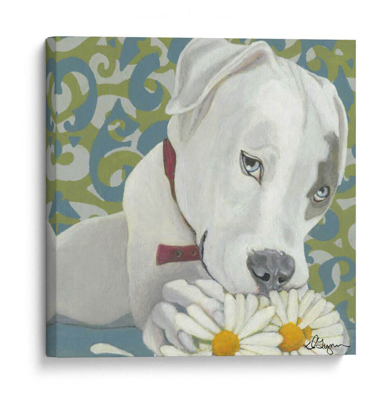 Dogs Drynns - Parche - Dlynn Roll | Cuadro decorativo de Canvas Lab