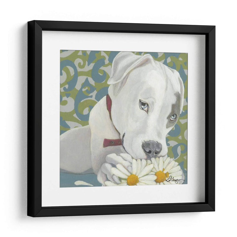 Dogs Drynns - Parche - Dlynn Roll | Cuadro decorativo de Canvas Lab