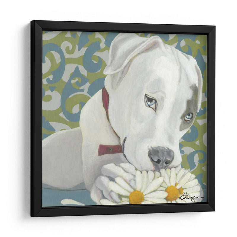 Dogs Drynns - Parche - Dlynn Roll | Cuadro decorativo de Canvas Lab