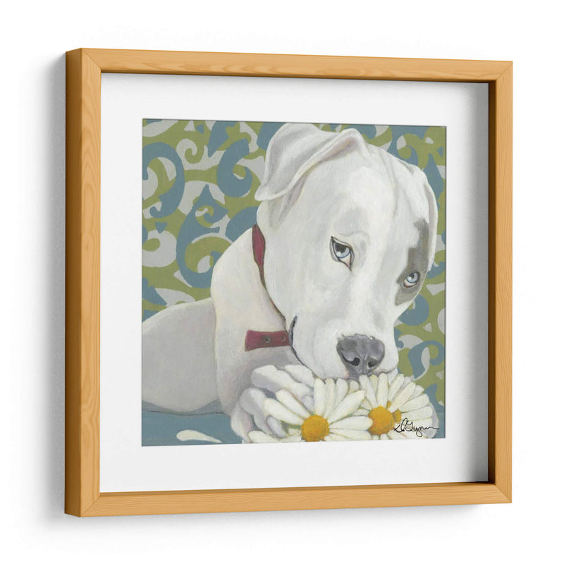 Dogs Drynns - Parche - Dlynn Roll | Cuadro decorativo de Canvas Lab