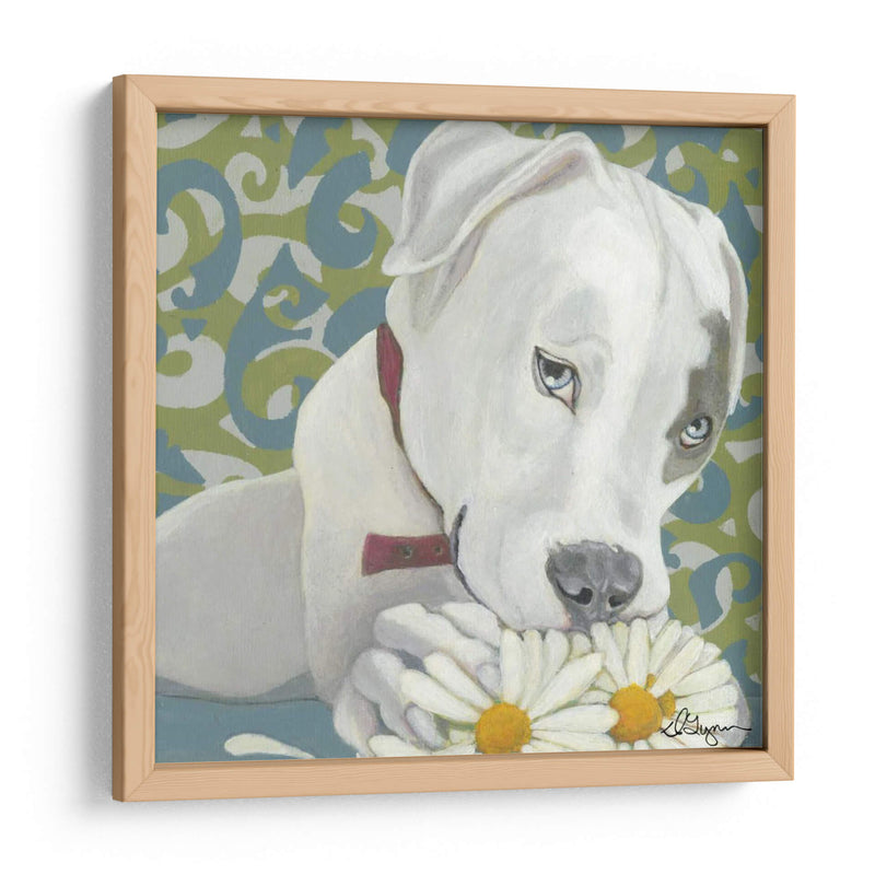 Dogs Drynns - Parche - Dlynn Roll | Cuadro decorativo de Canvas Lab