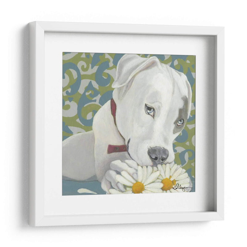 Dogs Drynns - Parche - Dlynn Roll | Cuadro decorativo de Canvas Lab