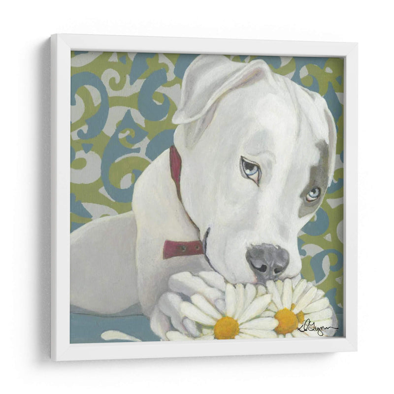 Dogs Drynns - Parche - Dlynn Roll | Cuadro decorativo de Canvas Lab