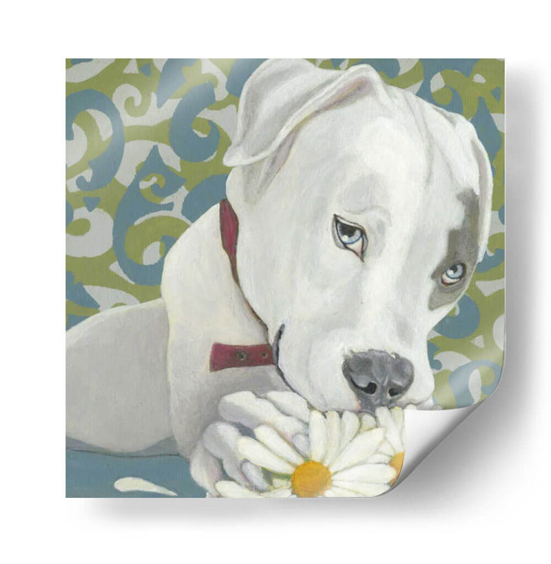 Dogs Drynns - Parche - Dlynn Roll | Cuadro decorativo de Canvas Lab