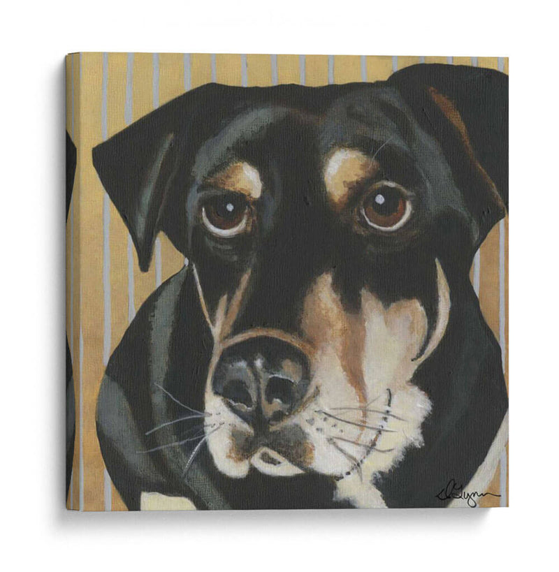 Dogs Drynns - Jengibre - Dlynn Roll | Cuadro decorativo de Canvas Lab