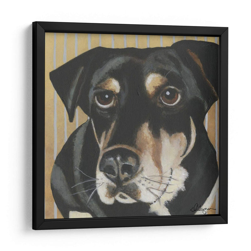 Dogs Drynns - Jengibre - Dlynn Roll | Cuadro decorativo de Canvas Lab