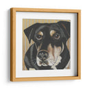 Dogs Drynns - Jengibre - Dlynn Roll | Cuadro decorativo de Canvas Lab