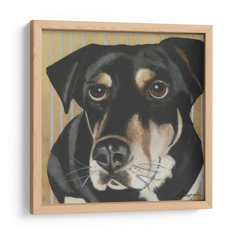 Dogs Drynns - Jengibre - Dlynn Roll | Cuadro decorativo de Canvas Lab