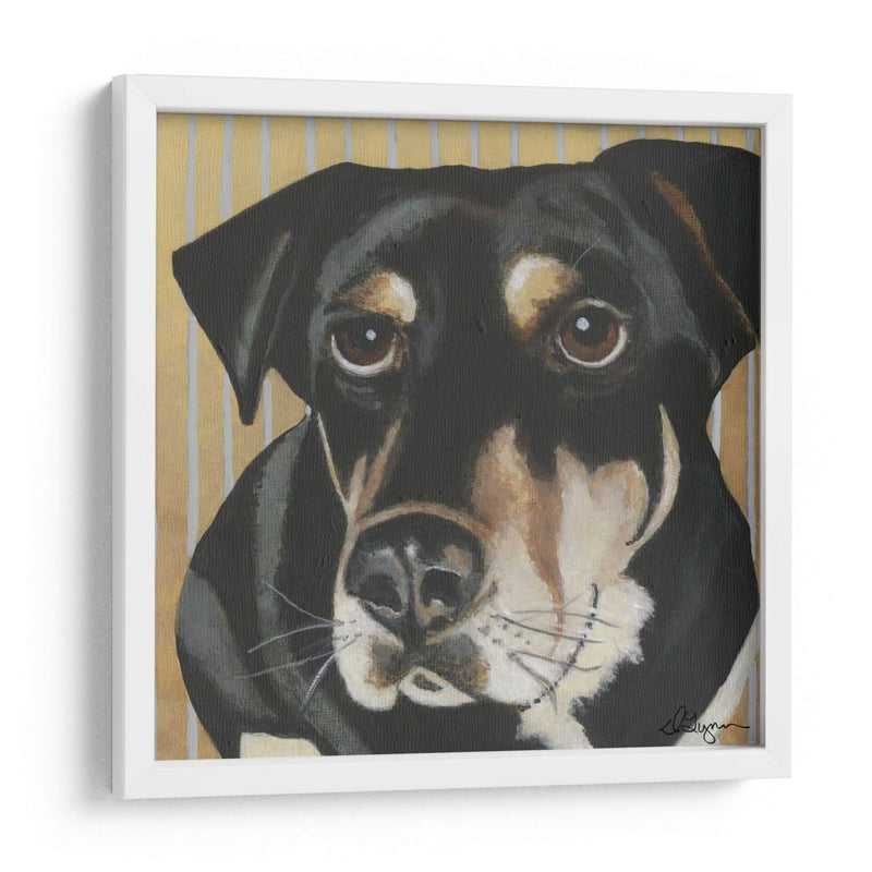 Dogs Drynns - Jengibre - Dlynn Roll | Cuadro decorativo de Canvas Lab