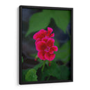 Flores rosas - Alvaro Martinz | Cuadro decorativo de Canvas Lab