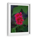 Flores rosas - Alvaro Martinz | Cuadro decorativo de Canvas Lab