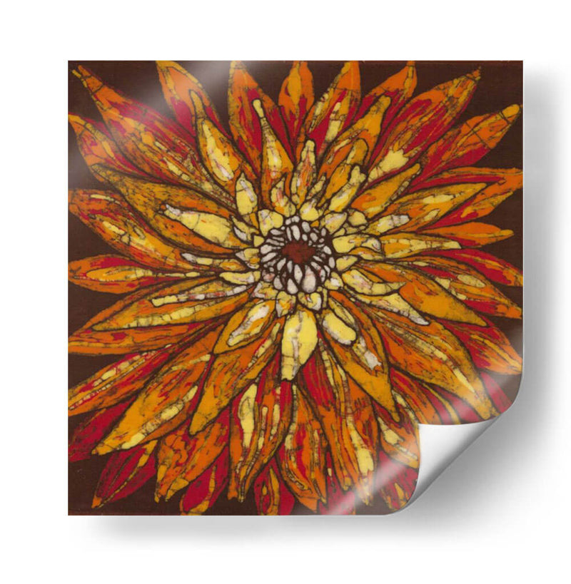 Fuego Bloom Iv - Andrea Davis | Cuadro decorativo de Canvas Lab