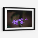 Flor violeta - Alvaro Martinz | Cuadro decorativo de Canvas Lab