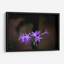 Flor violeta - Alvaro Martinz | Cuadro decorativo de Canvas Lab