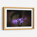 Flor violeta - Alvaro Martinz | Cuadro decorativo de Canvas Lab