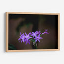 Flor violeta - Alvaro Martinz | Cuadro decorativo de Canvas Lab