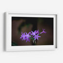 Flor violeta - Alvaro Martinz | Cuadro decorativo de Canvas Lab