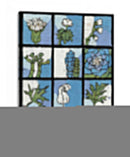 Asure Botanical Ii 12-Patch - Andrea Davis | Cuadro decorativo de Canvas Lab