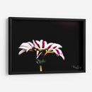 Flor blanca y rosa - Alvaro Martinz | Cuadro decorativo de Canvas Lab