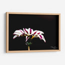 Flor blanca y rosa - Alvaro Martinz | Cuadro decorativo de Canvas Lab