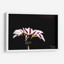 Flor blanca y rosa - Alvaro Martinz | Cuadro decorativo de Canvas Lab