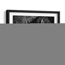 Perdurable Ii - Julie T. Chapman | Cuadro decorativo de Canvas Lab