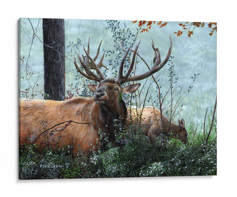 Alces Forrajeando - Kevin Daniel | Cuadro decorativo de Canvas Lab