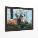Alces Forrajeando - Kevin Daniel | Cuadro decorativo de Canvas Lab