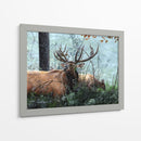 Alces Forrajeando - Kevin Daniel | Cuadro decorativo de Canvas Lab