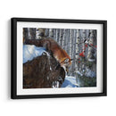 Fox En Invierno - Kevin Daniel | Cuadro decorativo de Canvas Lab