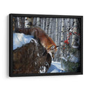 Fox En Invierno - Kevin Daniel | Cuadro decorativo de Canvas Lab