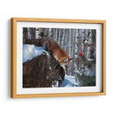 Fox En Invierno - Kevin Daniel | Cuadro decorativo de Canvas Lab