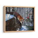 Fox En Invierno - Kevin Daniel | Cuadro decorativo de Canvas Lab