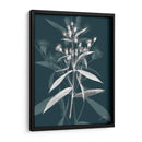 Joya Tallos I - James Burghardt | Cuadro decorativo de Canvas Lab