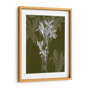 Joya Tallos Ii - James Burghardt | Cuadro decorativo de Canvas Lab