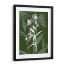 Joya Tallos Iii - James Burghardt | Cuadro decorativo de Canvas Lab