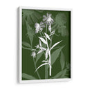 Joya Tallos Iii - James Burghardt | Cuadro decorativo de Canvas Lab