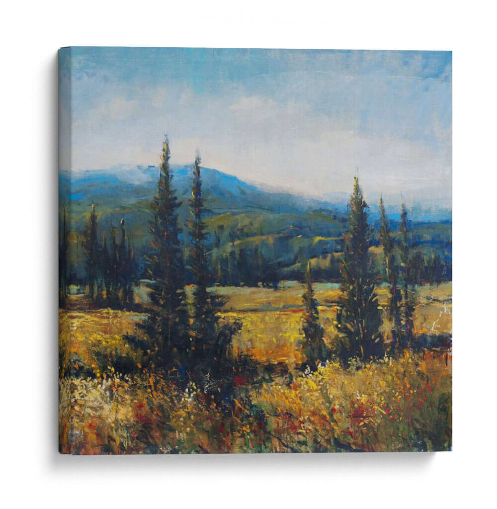 Pacífico Noroeste Ii - Tim OToole | Cuadro decorativo de Canvas Lab