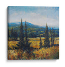 Pacífico Noroeste Ii - Tim OToole | Cuadro decorativo de Canvas Lab