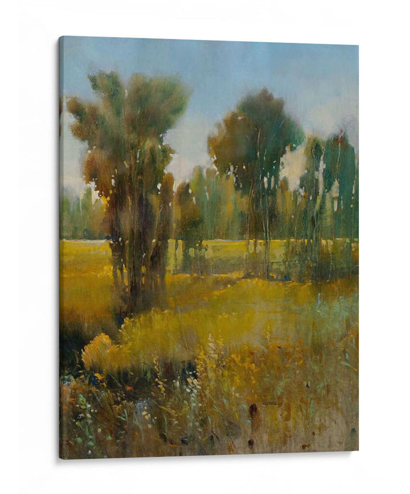 Campo Sunkissed Ii - Tim OToole | Cuadro decorativo de Canvas Lab